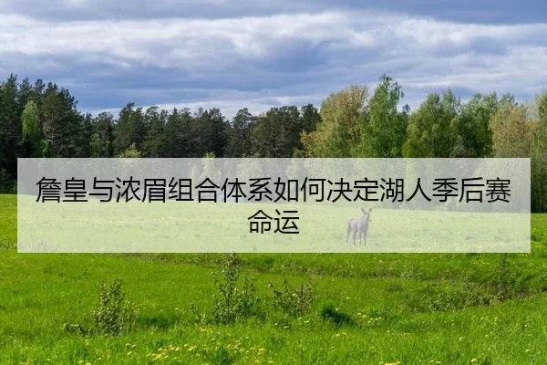 詹皇与浓眉组合体系如何决定湖人季后赛命运