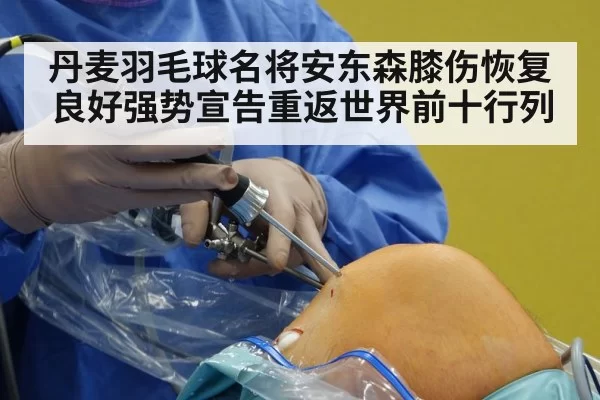丹麦羽毛球名将安东森膝伤恢复良好强势宣告重返世界前十行列